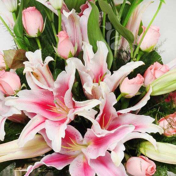 Sweet sensation 12 pink roses with 6 pink lilies for you B